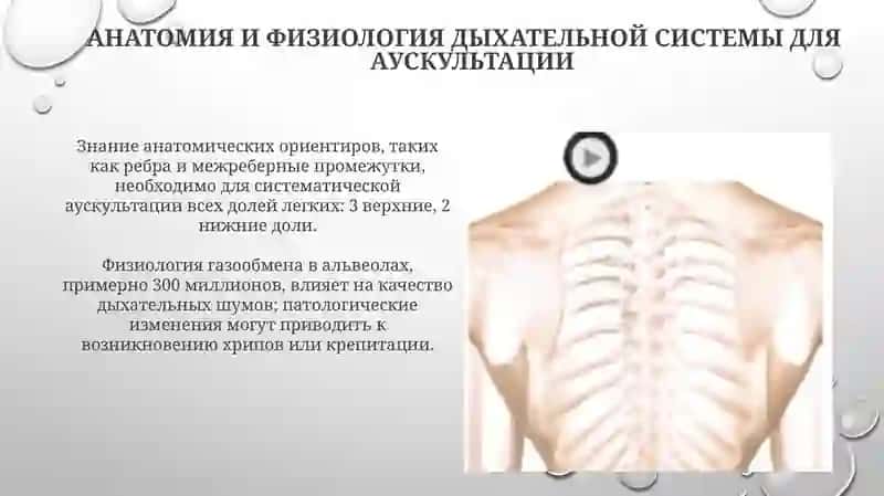 Пропедевтика внутренних болезней 4