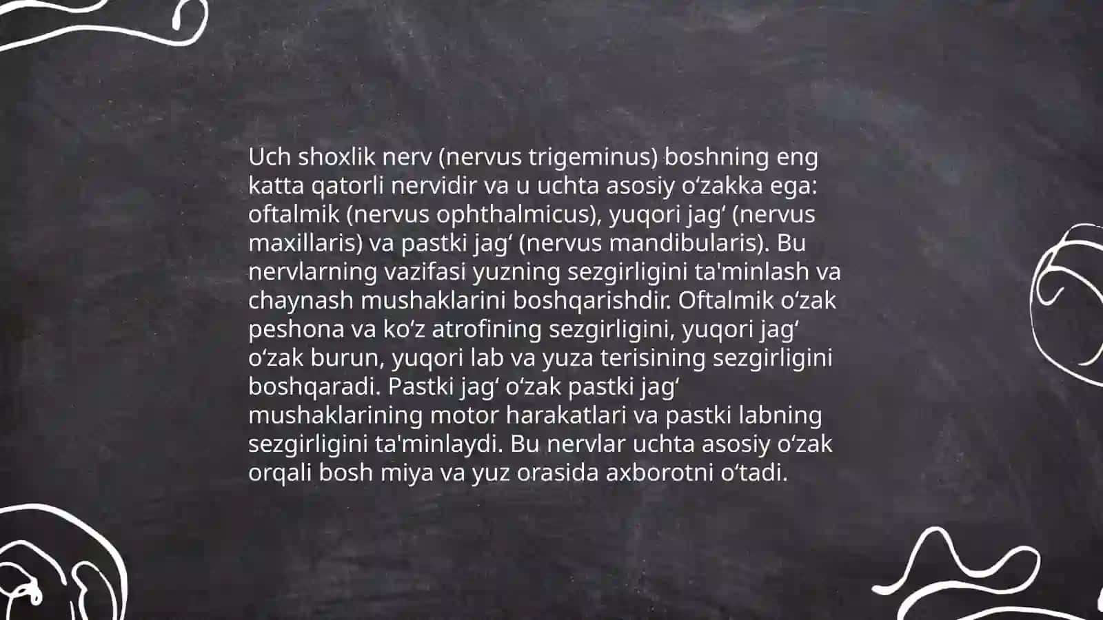 Uch shoxlik nerv anatomiyasi 4