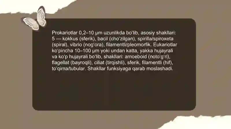Tirik organizmlarning formalari 4