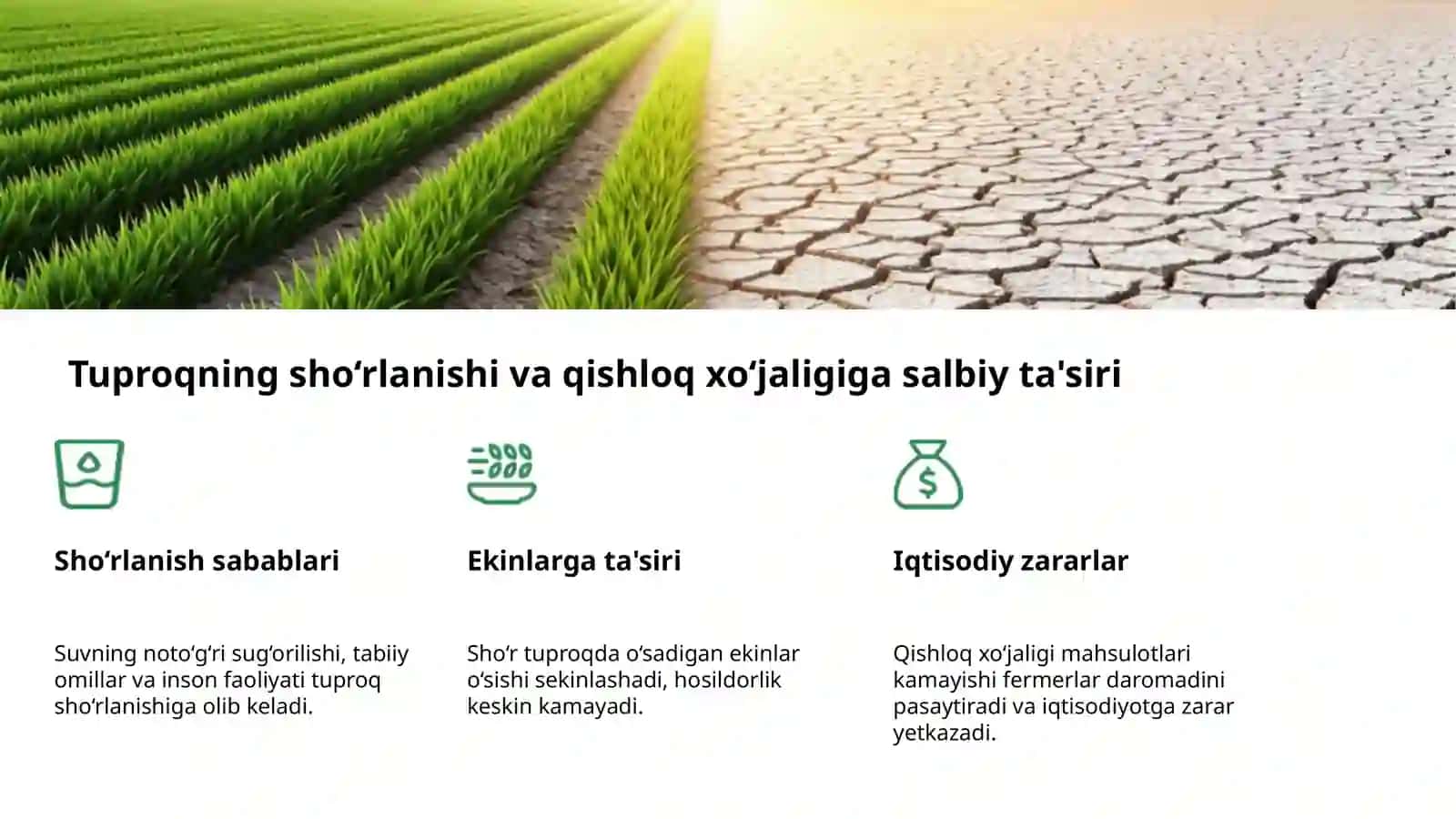 O‘zbekiston ekologiyasi va Orol fojiasi 4