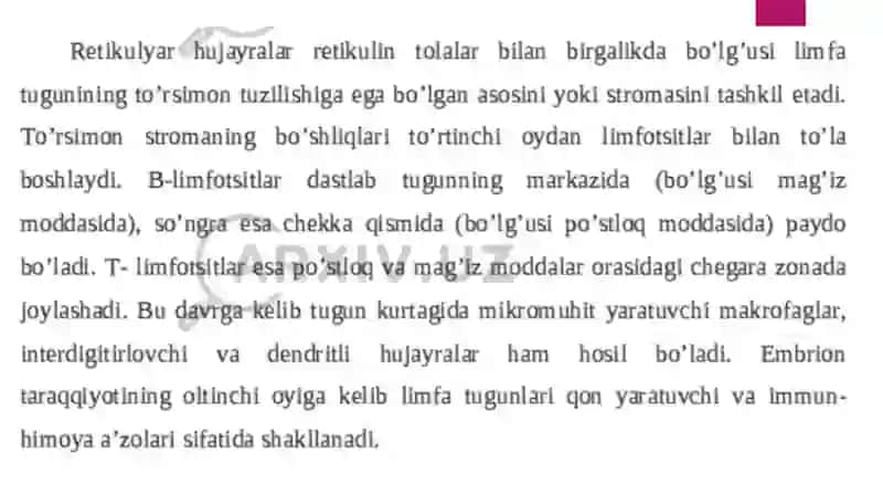 Limfa tugunlari 4