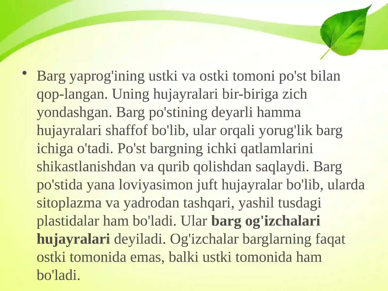 BARGLARNING ICHKI TUZILISHI 4