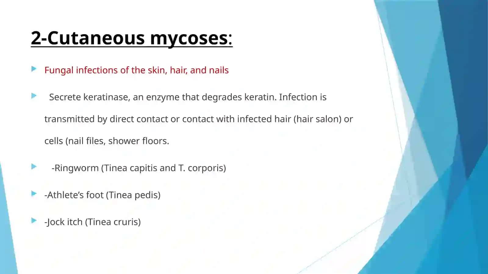 Medical Mycology Lecture 4