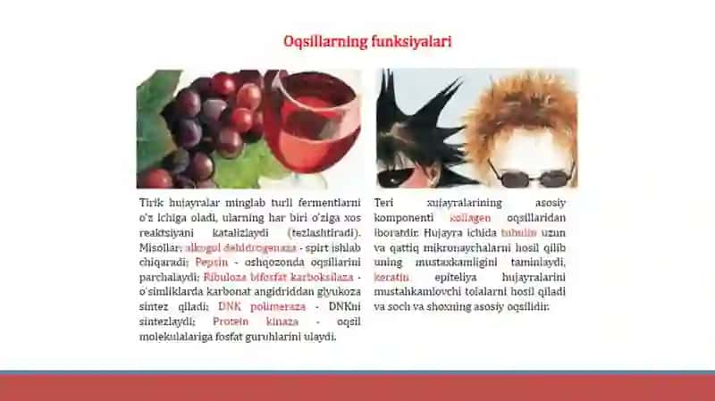 Oqsillar 4