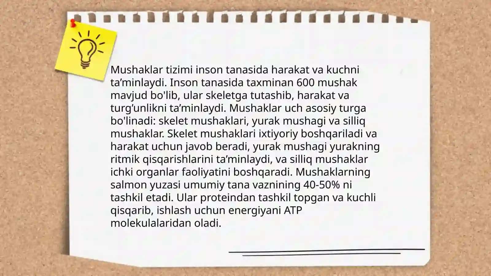 Odam anatomiyasi 4