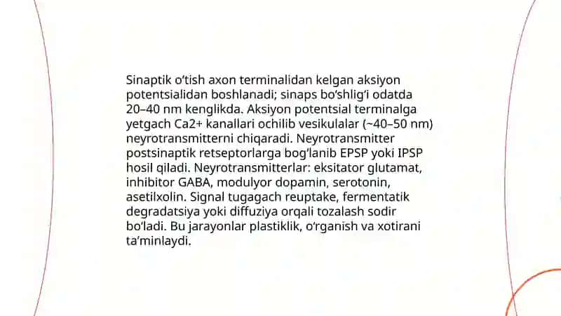 Bosh miyaning ishlash tamoyillari 4