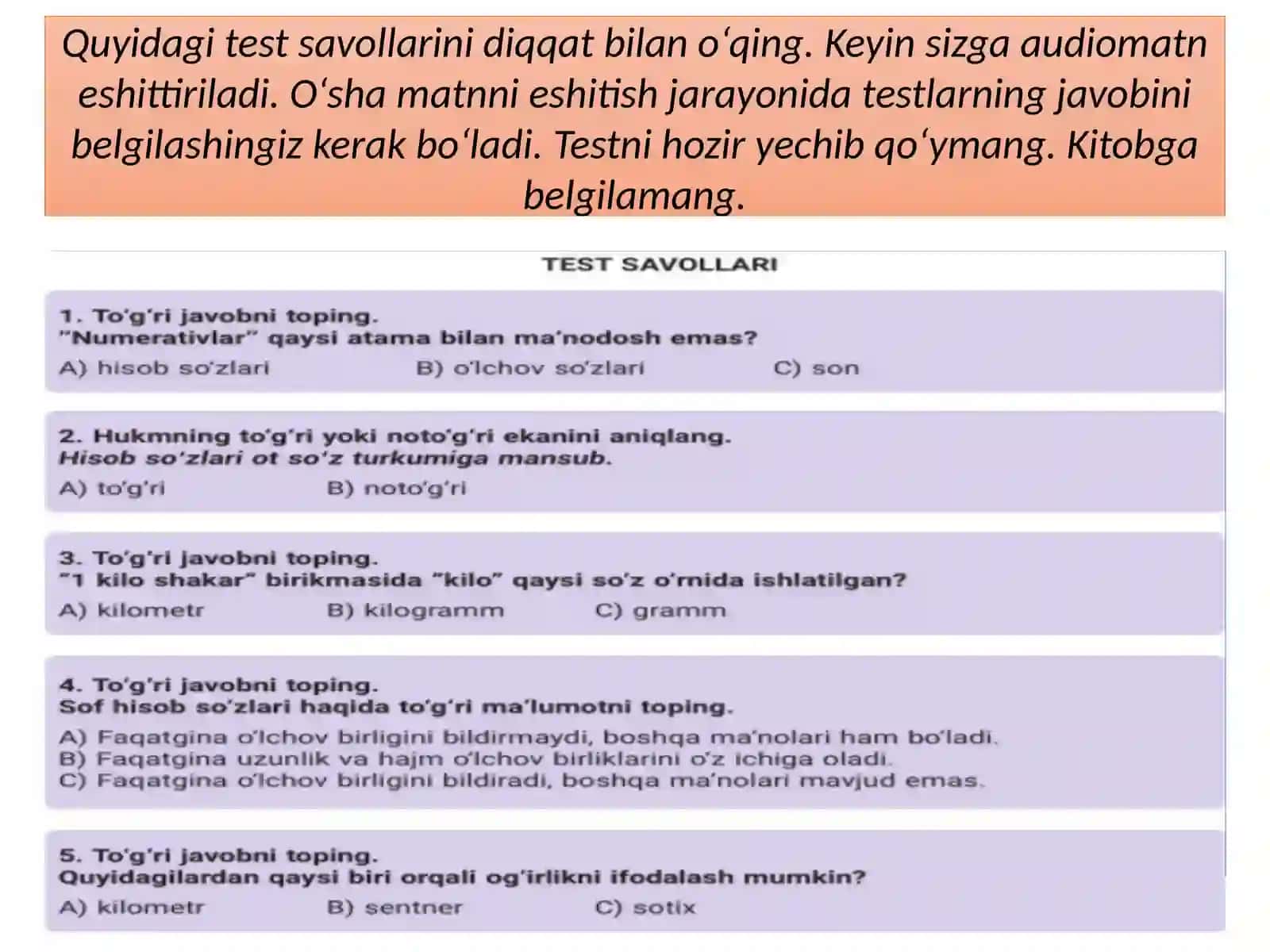 Audiomatn. Test Topshiriqlari 4
