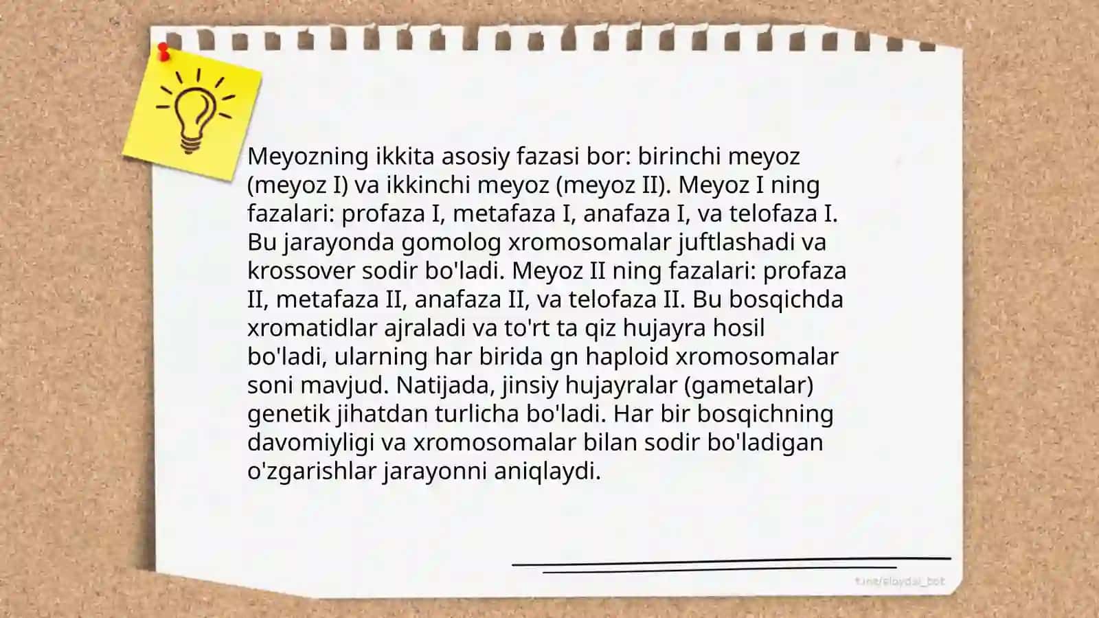 Meyoz va uning biologik ahamiyati 4