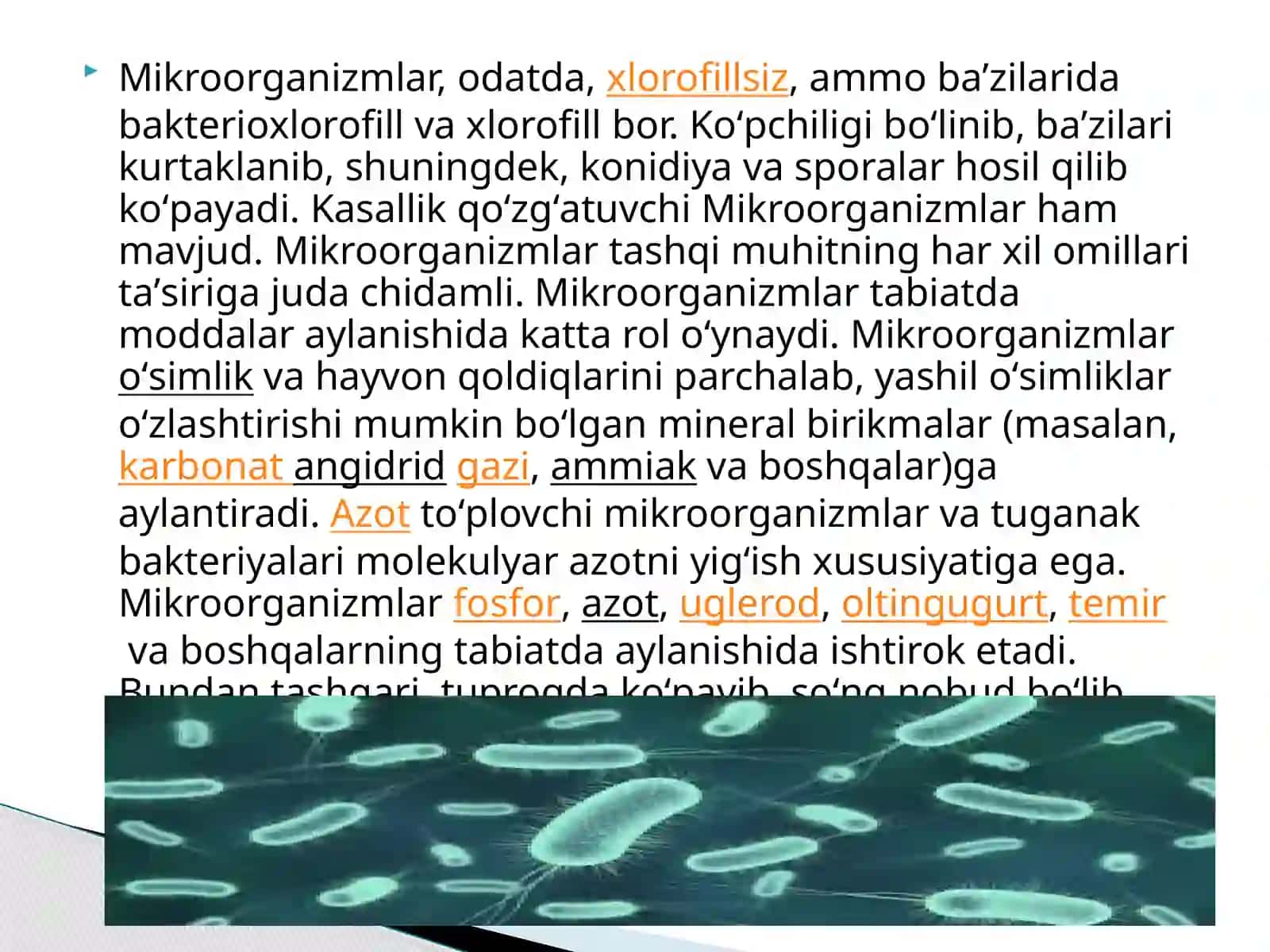 Mikroorganizmlarning  amaliy ahamiyati 4