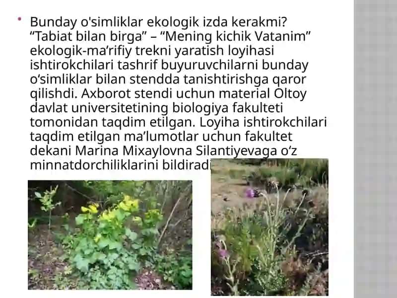 O’zbekistonning adventiv o’simliklari 4