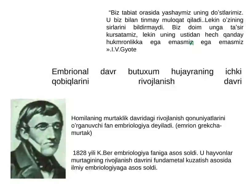 Individual rivojlanishning umumiy qonuniyatlari 4