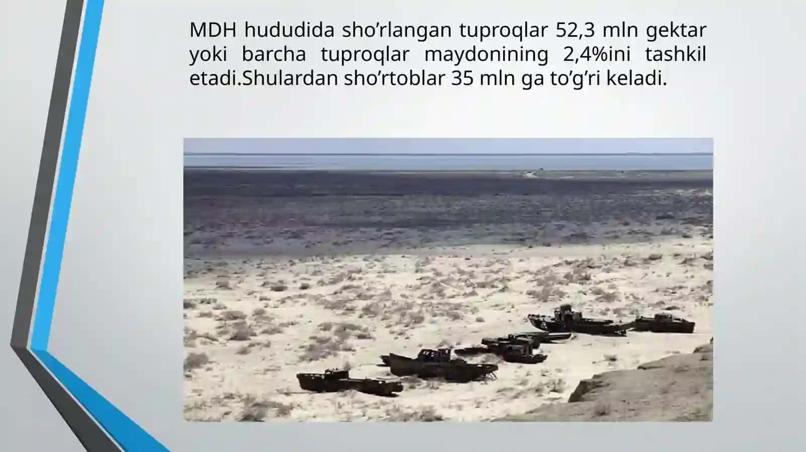 Sho'rtuproqlarniklassifikatsiyalari 4