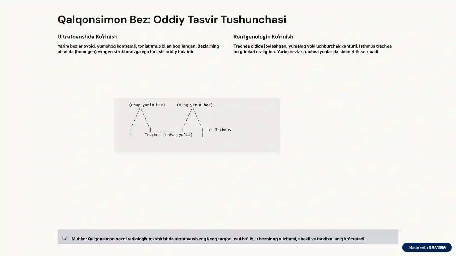 Qalqonsimon Bez Anatomiyasi 4
