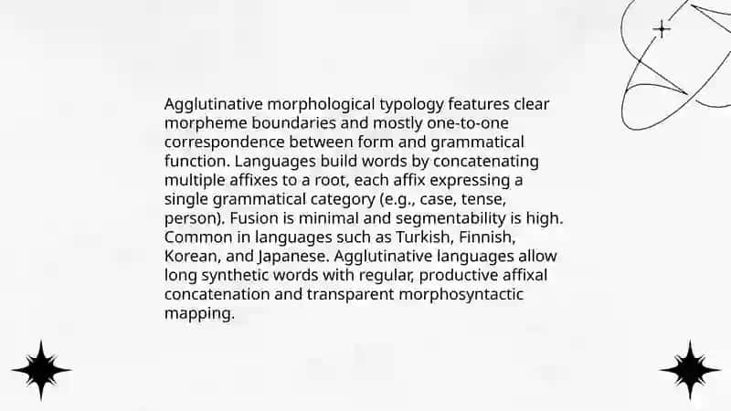 Typology of morphological level 4