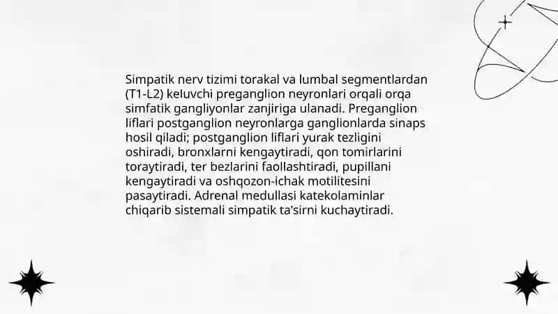 Qo'sh vegetativ innervatsiyasi 4