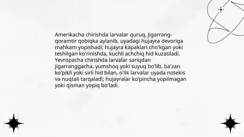 Asalarilarning amerikacha va yevropacha chirish 4