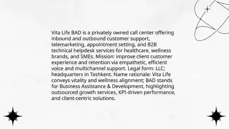Vita Life BAD Call Center Business Plan 4