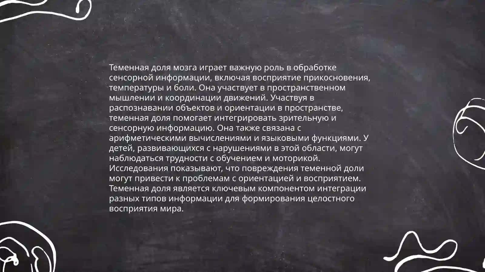 Функции лобной доли мозга 4
