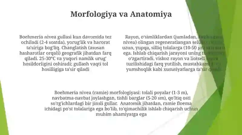 Rayxonoʻsimligivauningsutkalikgullashdinamikasi 4