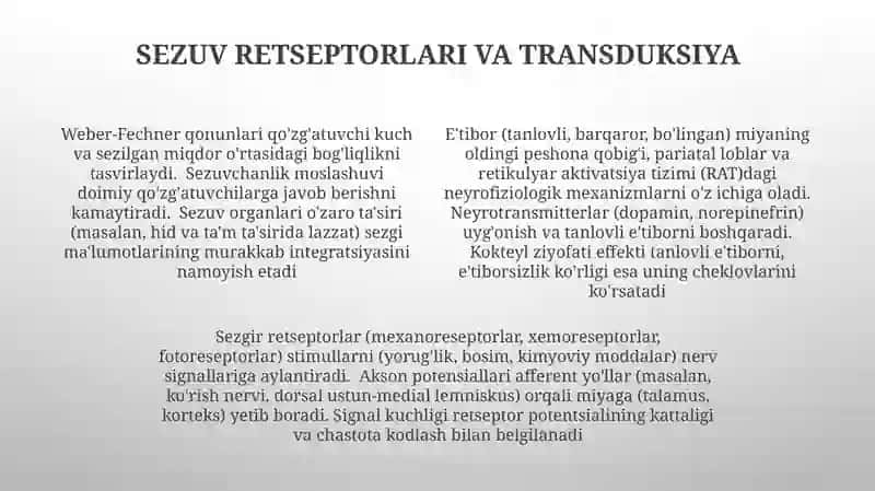 Diqqatning neyrofiziologiyasi 4