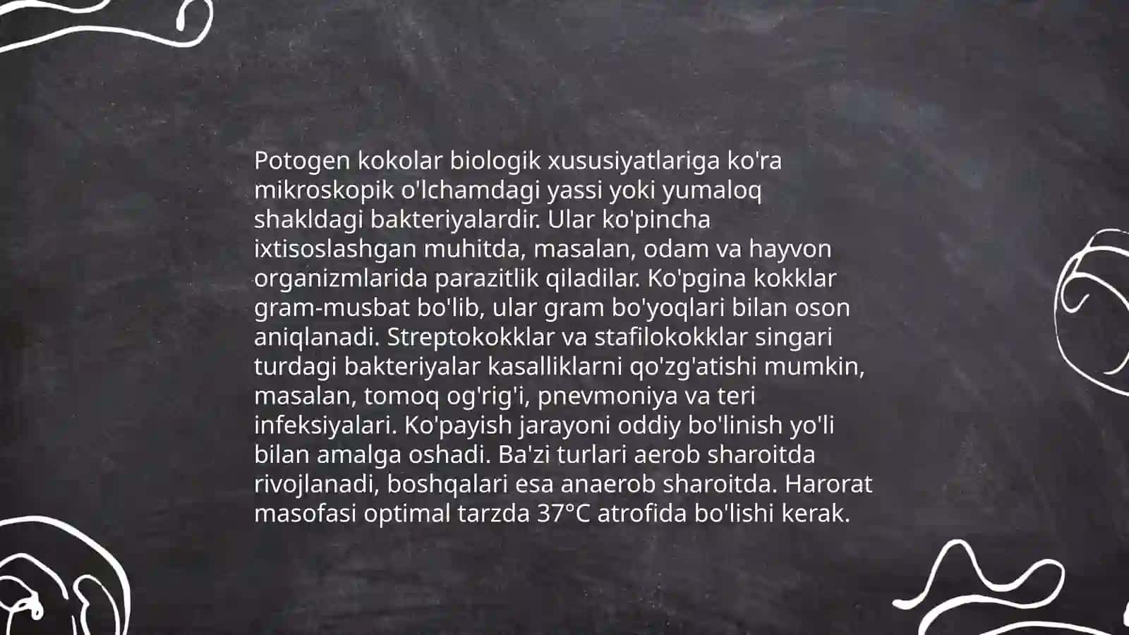 Potogen kokolar 4
