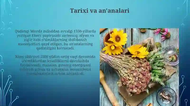 Dorivor gulli o'simliklar 4