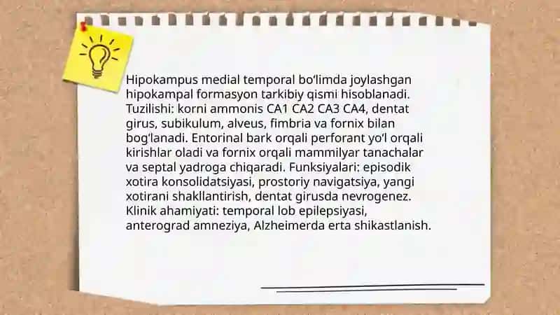 Anatomiya fanidan mustaqil ish 4