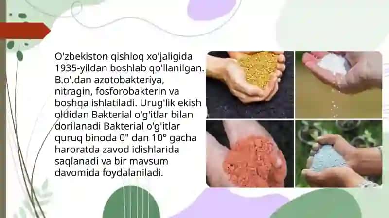 Bakteriologik o‘g‘itlar va ularning qo‘llanilishi 4