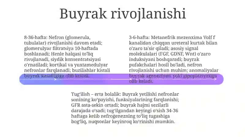 Embriogenezning qaltis davrlari 4