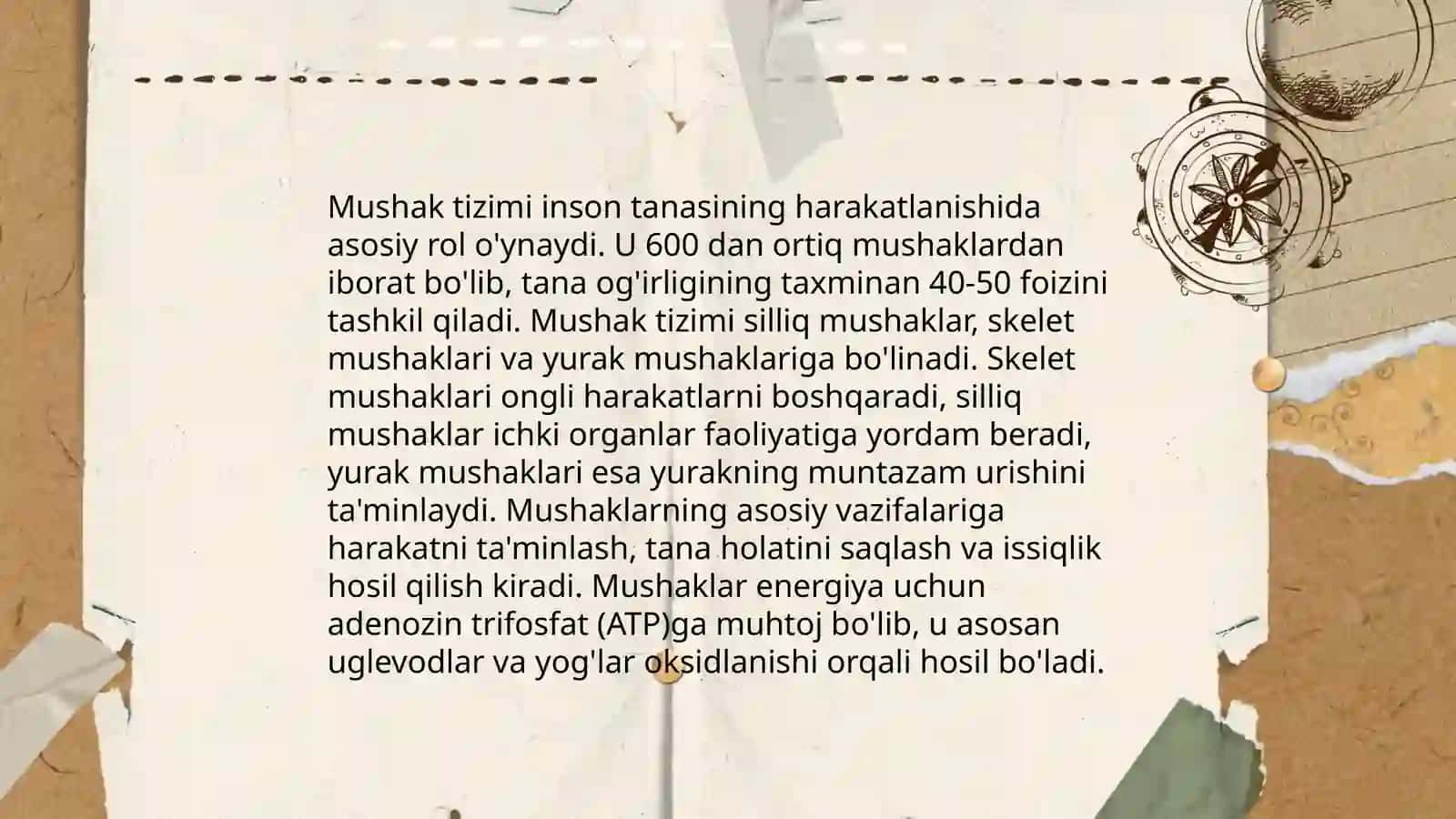 Skelet tizimi 4