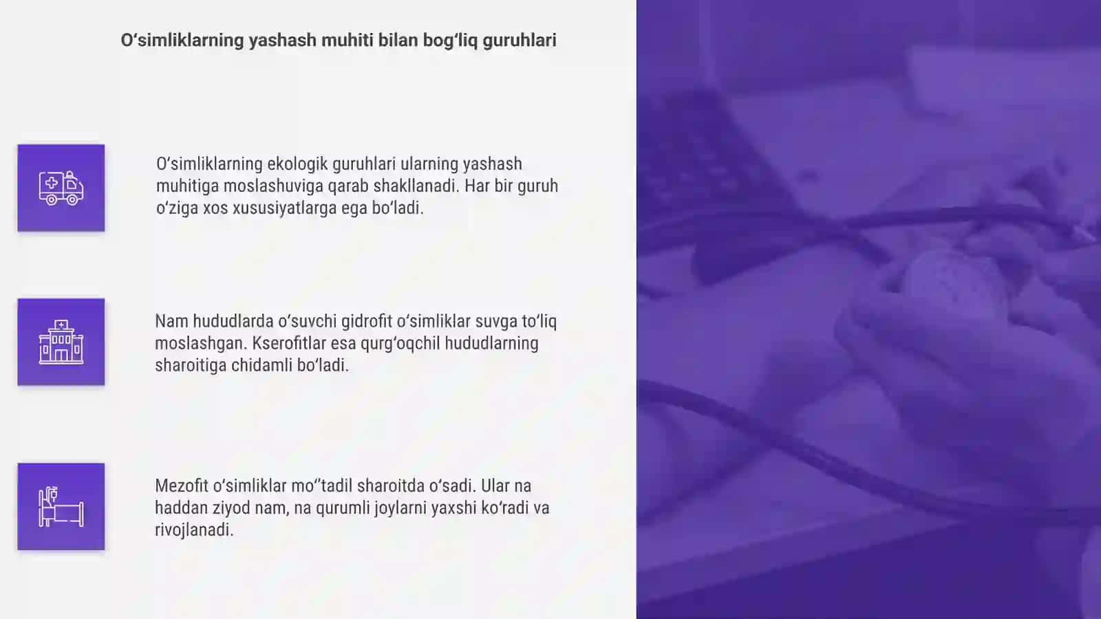 O'simlik va hayvonlarning ekologik guruhlari 4