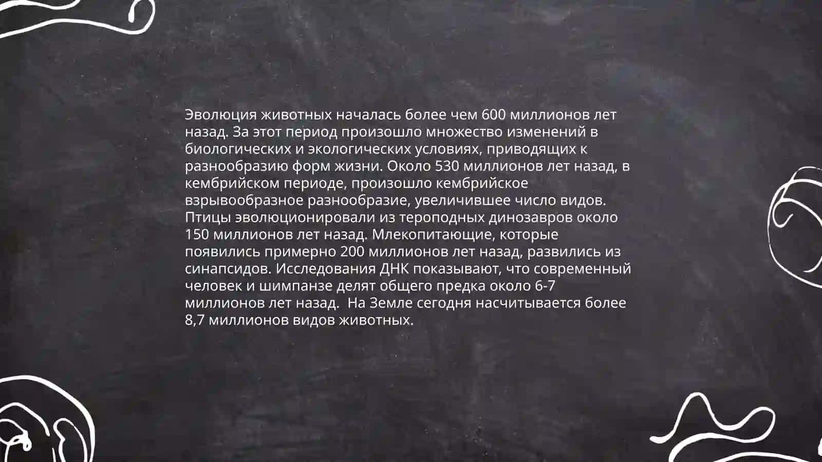 Разнообразие животных 4