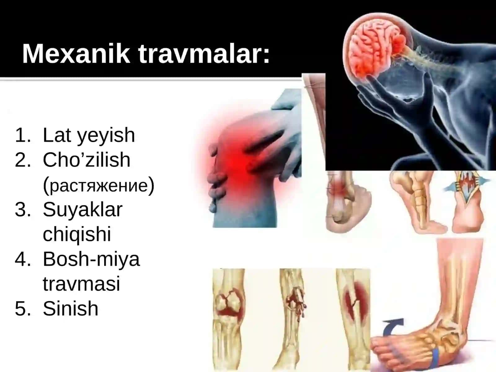 Tashqi muhit omillari va organizmga ta'siri 4