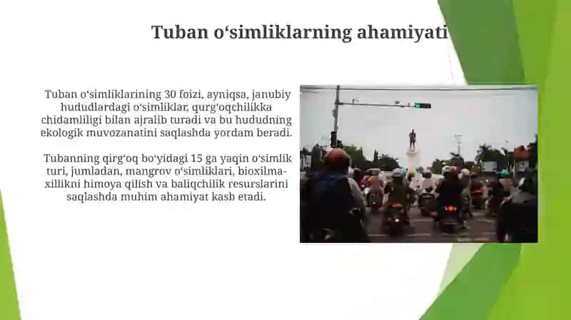 Tuban o'simliklar 4