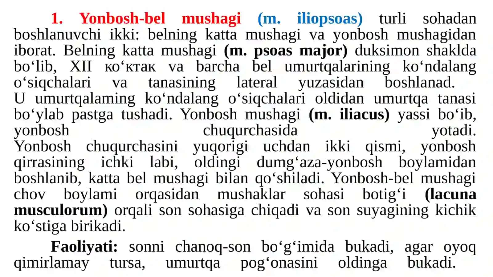Chanoq va oyoq mushaklari 4