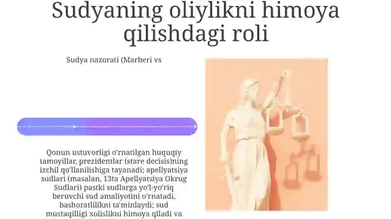Konstitutsiya va qonun ustuvorligi 4