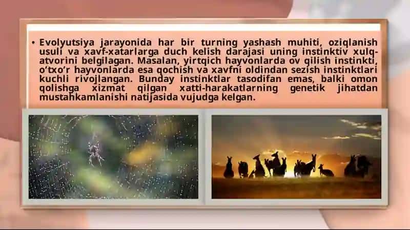 Umumiy psixologiya mustaqil ishi 4
