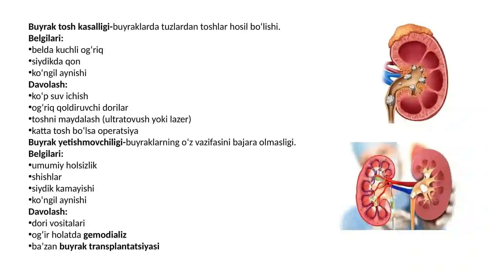buyrak va siydik yo'li kasalliklari 4