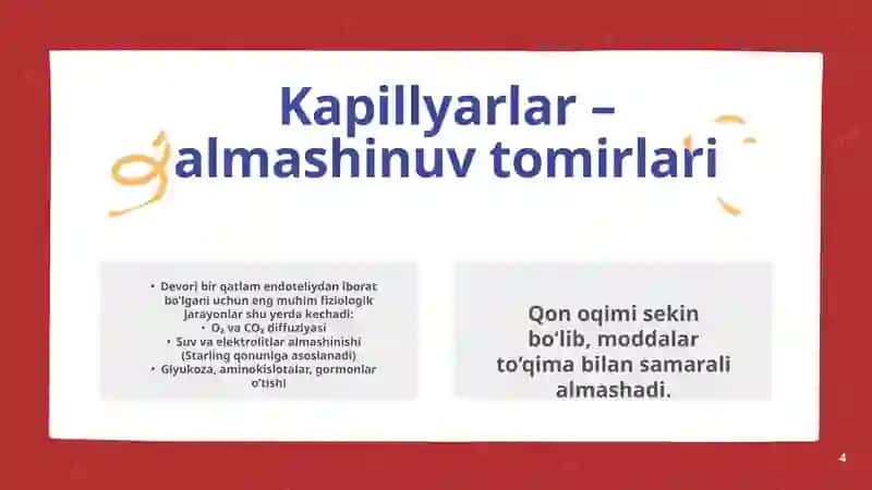 mikrosirkulyator havzada qon aylanishi 4