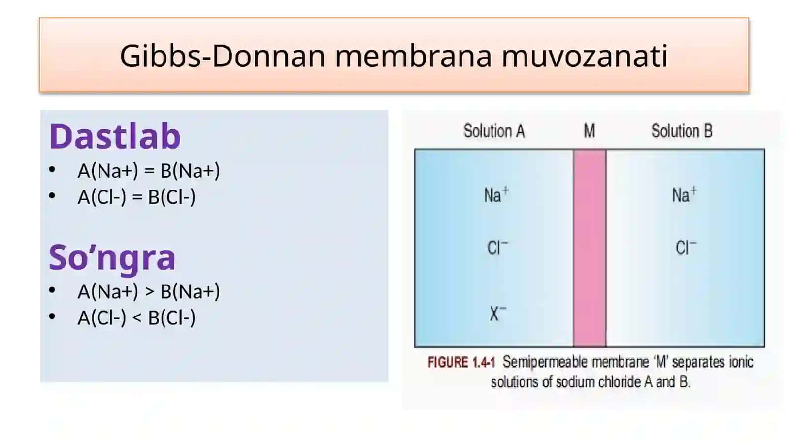Membrana potensiali 4