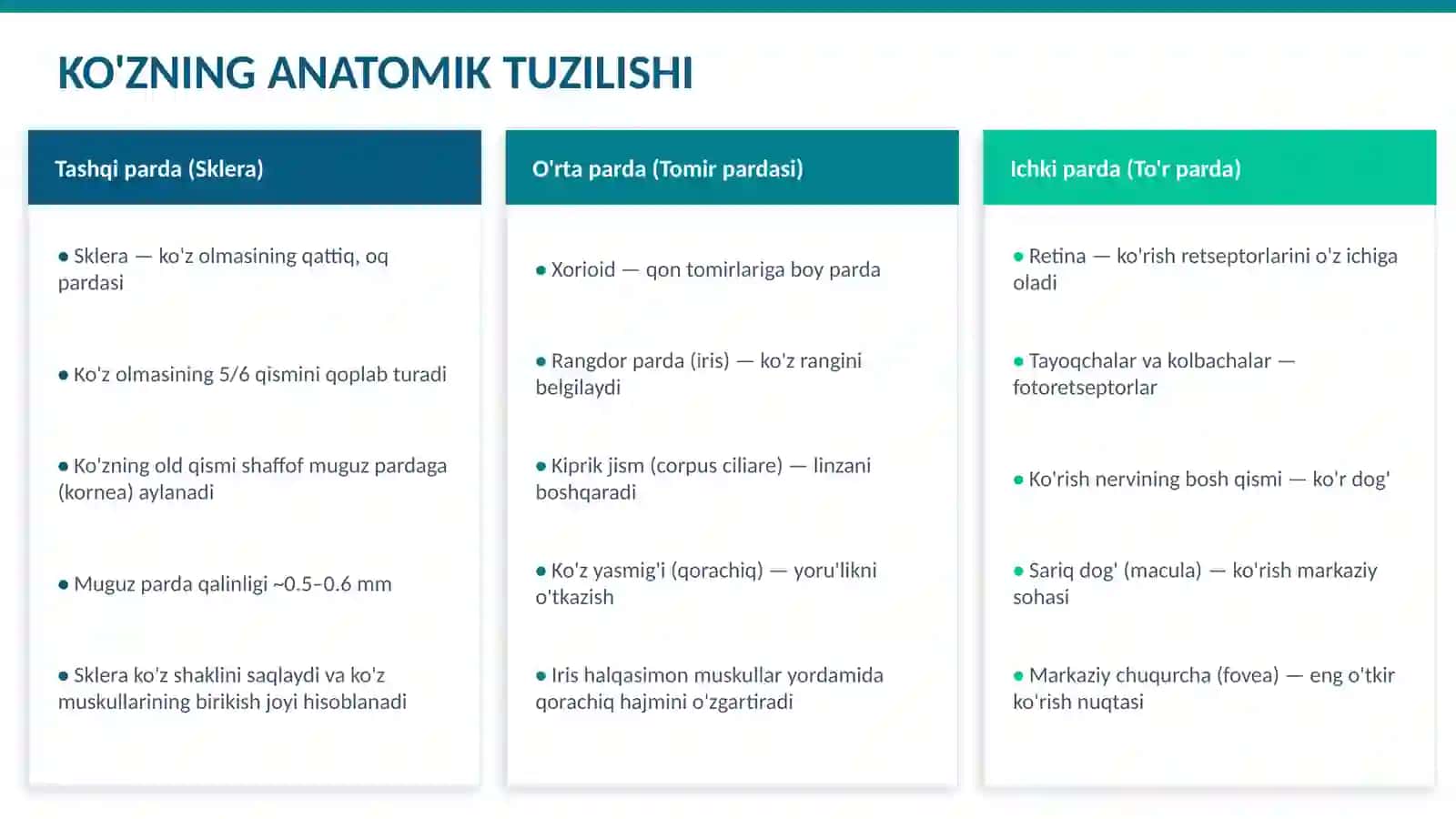 Koruv analizatori 4