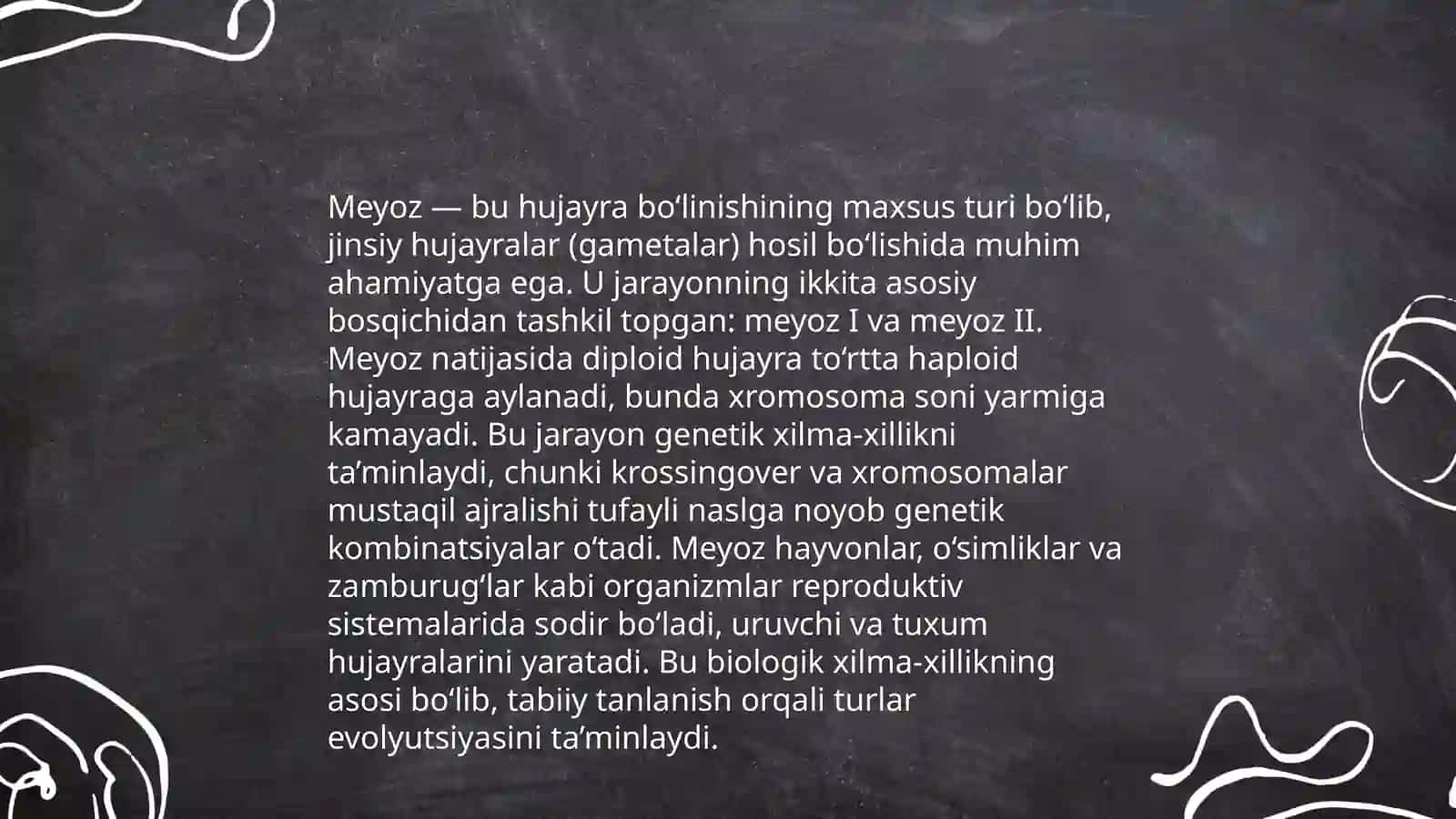 Meyoz 4