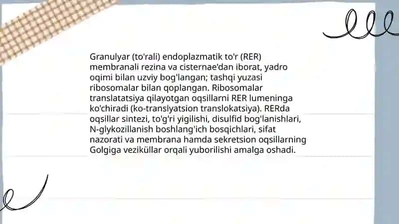 Endoplazmatik to'r 4