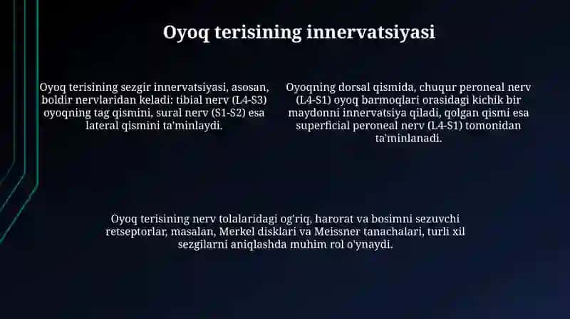 Qoʻl va oyoq terisini innervatsiyasi 4
