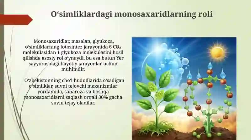 Monosaxaridlar tuzilishi 4