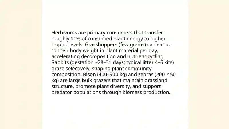 Grassland food chain 4