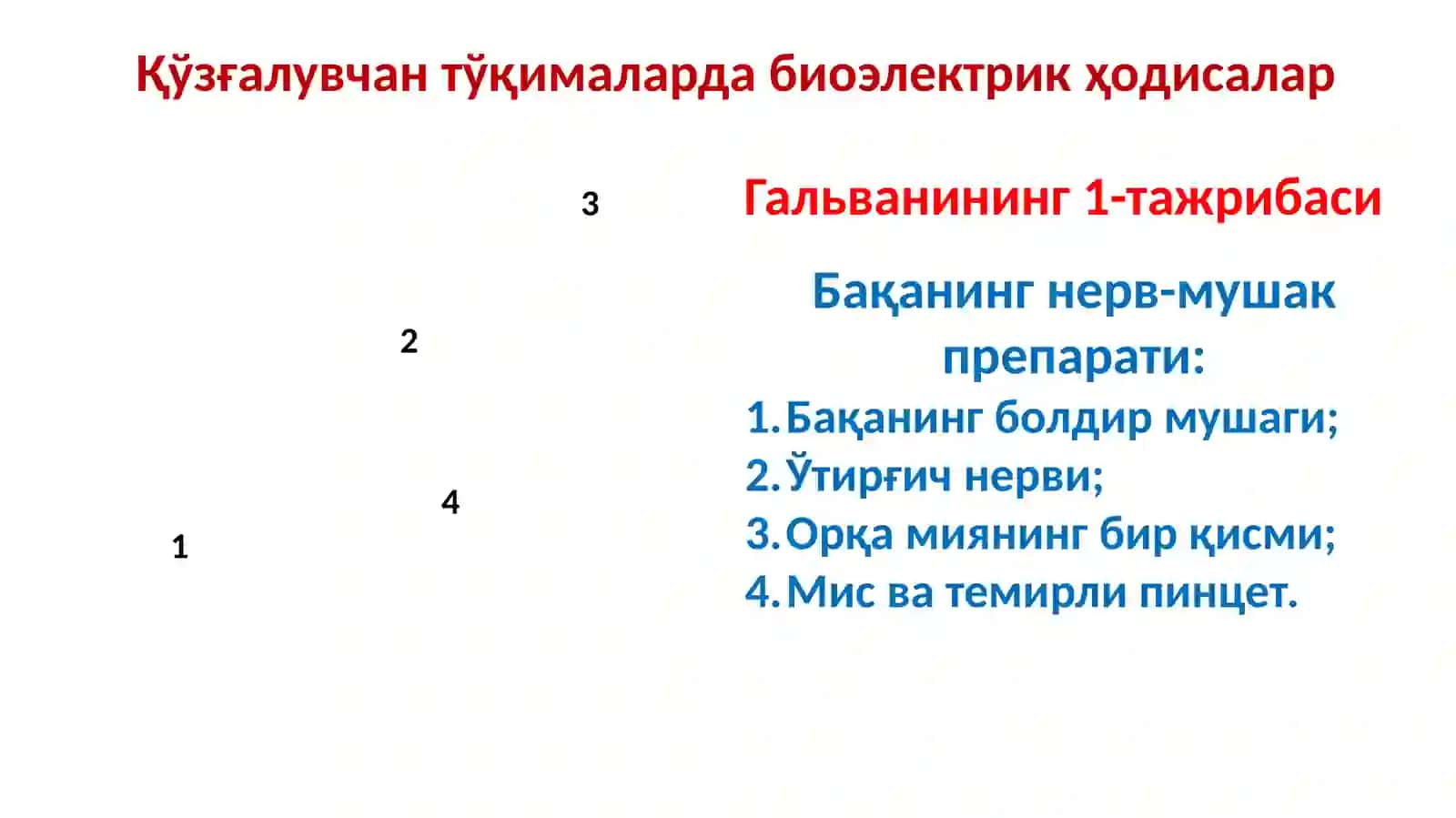 Қўзғалувчан тўқималарда биоэлектрик ҳодисалар 4
