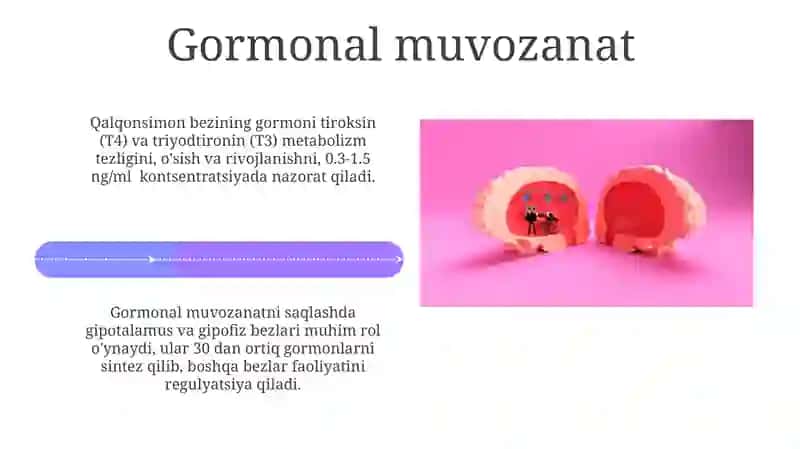 ICHKI SEKRETSIYA BEZLARI 4