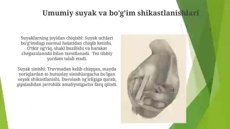 Suyaklar va ularning birikishi 4