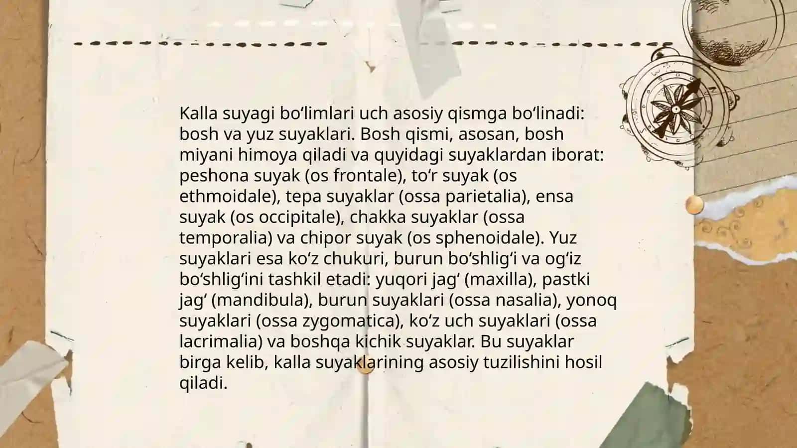 Kalla suyagi tuzilishi 4
